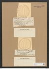 Campylodiscus undulatus Grev. (de-Toni-Nr.: Genus 57, Species 2447) Zeichnungen Sammlung Grunow Nr. 4921 (NHMW-BOT-W0373129)
